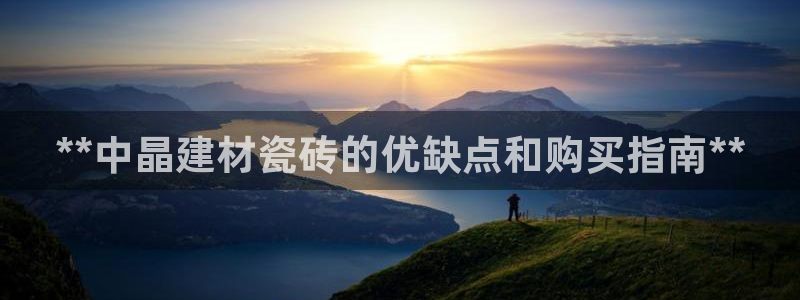 杏鑫平台注册网址查询