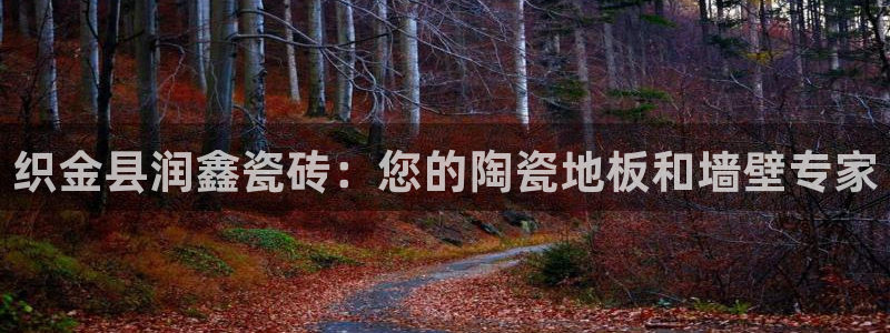 杏鑫官网注册账号