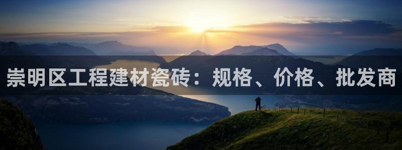 杏鑫平台平台