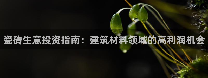 杏鑫娱乐平台测速怎么样