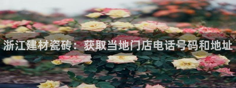 杏鑫平台平台