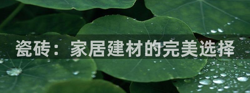 杏鑫平台念7O777
