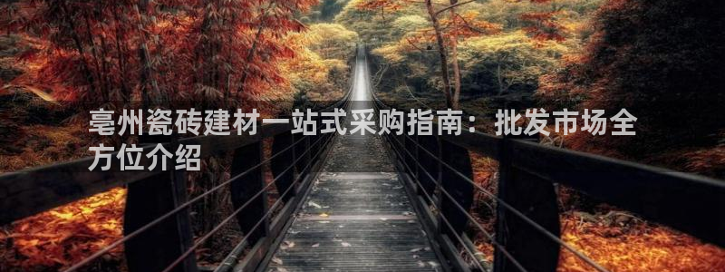 杏鑫官网注册账号是什么