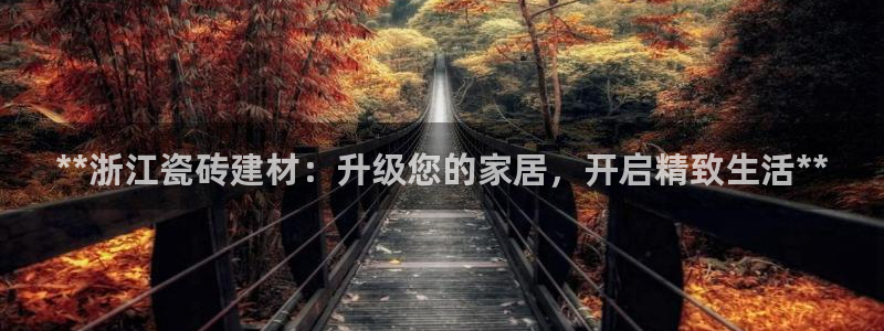 杏鑫3主管