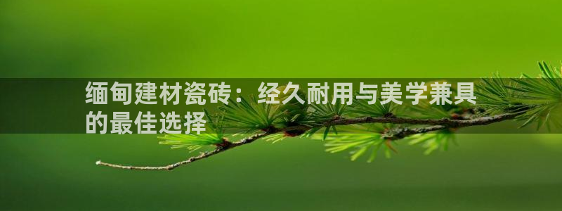 杏鑫娱乐平台测速