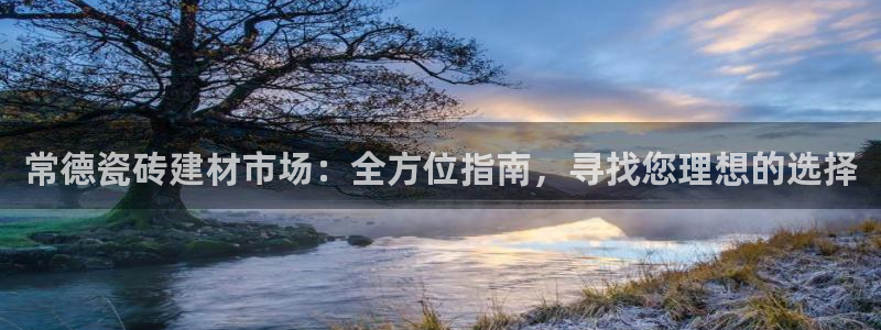 杏鑫平台代理注册流程