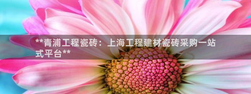 杏鑫平台直属哪个公司