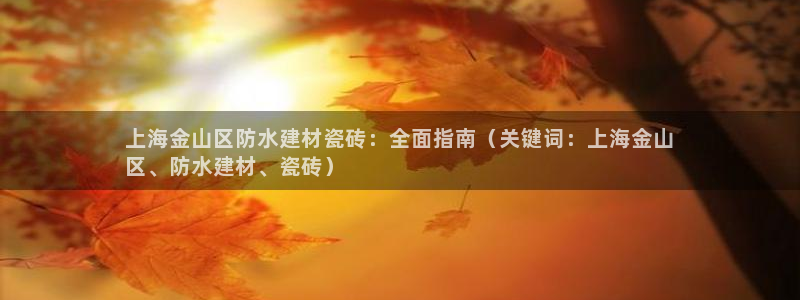 杏鑫官网注册账号是什么样的