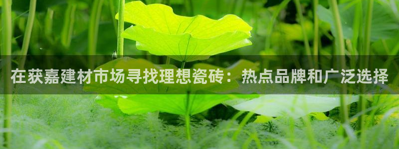 杏鑫平台在线注册怎么注册