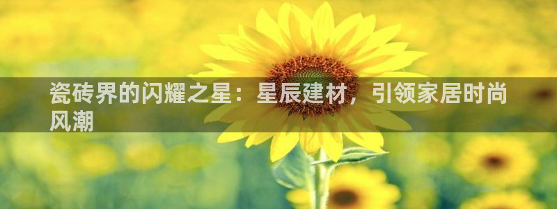 杏鑫有亏损返点吗