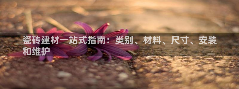 杏鑫注册登录代理公司