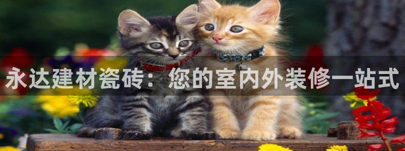 杏鑫注册登录网址是什么