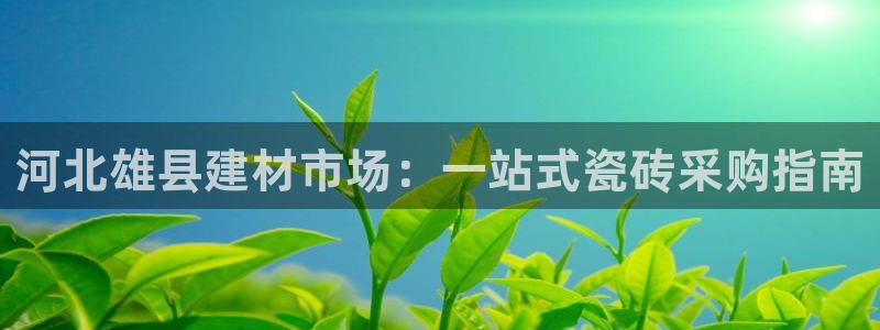 杏鑫平台注册地址是哪里