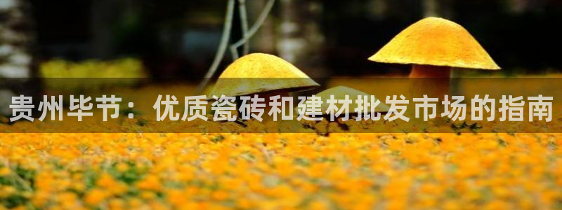 杏鑫平台招商电话号码
