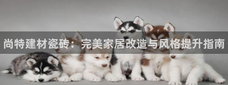 杏鑫平台怎么样