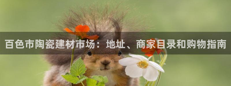 杏鑫官网