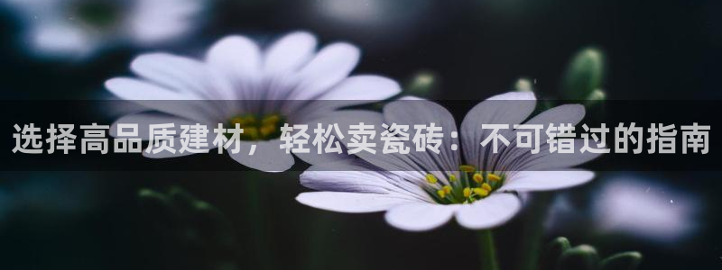 杏鑫平台平台娱乐