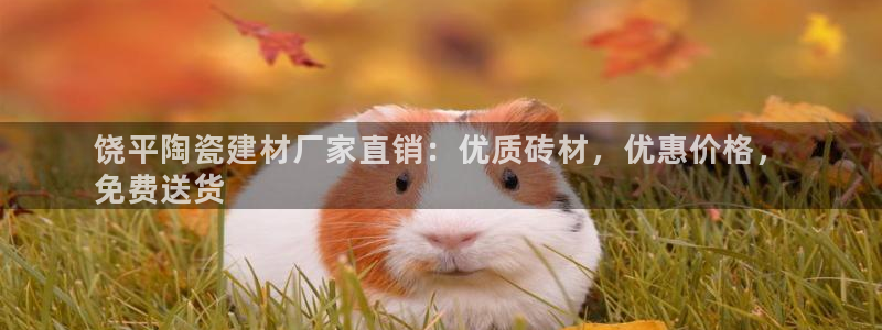 杏鑫娱乐平台
