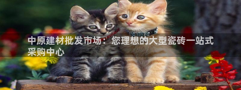 杏鑫平台注册登录