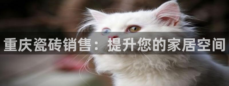 杏鑫官网注册账号