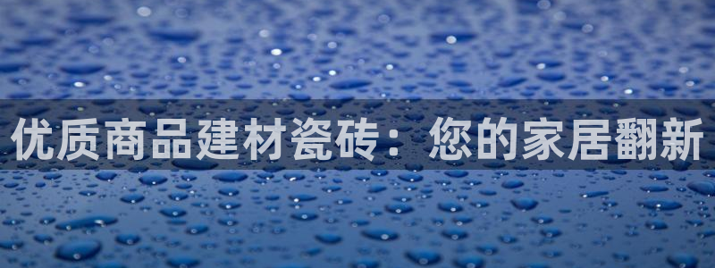 杏鑫平台代理怎么做