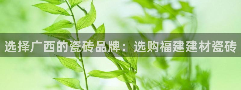 杏鑫平台招商电话是多少