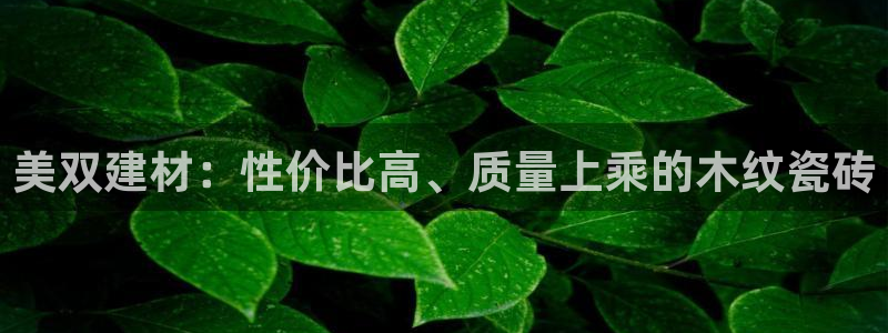 杏鑫官网注册账号怎么注册的