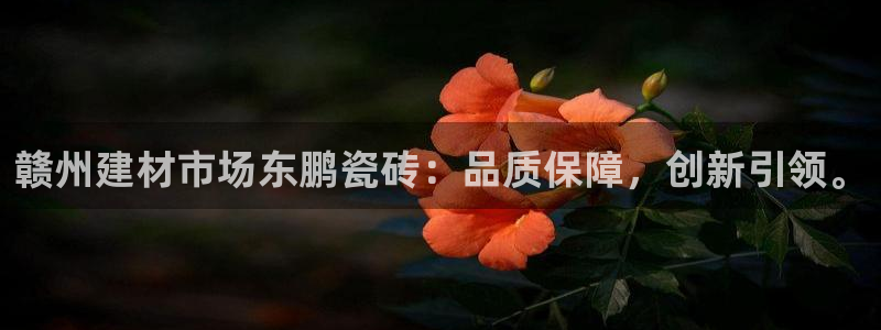 杏鑫平台平台娱乐