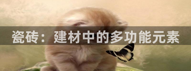 杏鑫平台列7O777