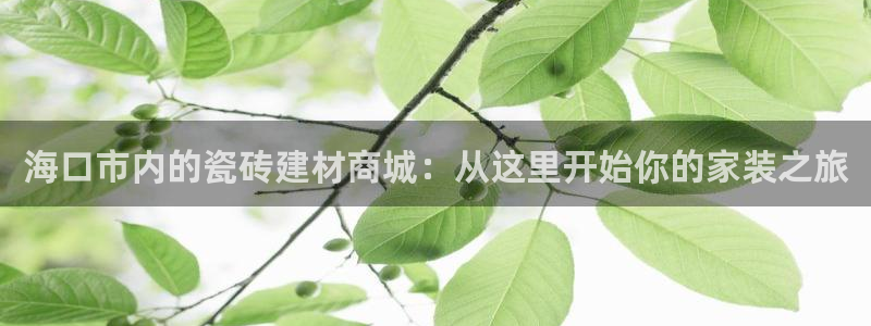 杏鑫平台代理