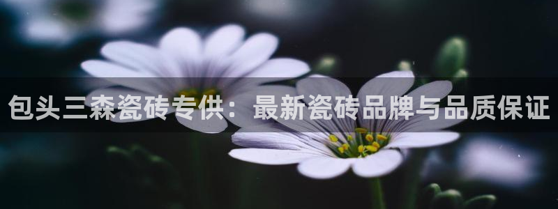 杏鑫平台官方网站
