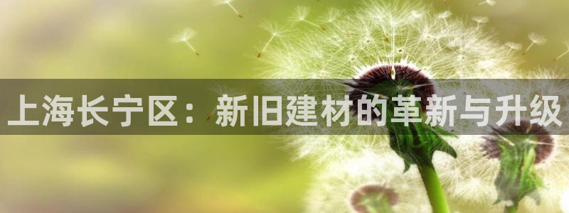 杏鑫平台是黑平台吗