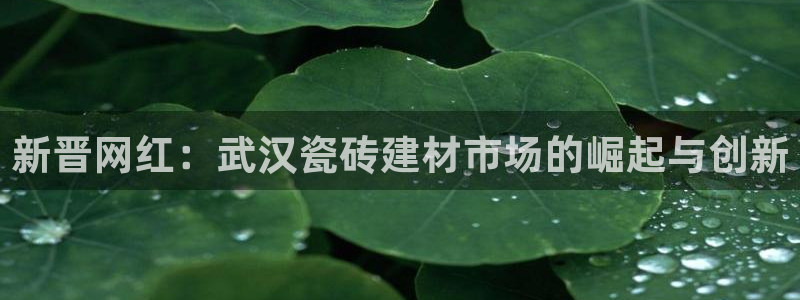 杏鑫平台野马联盟