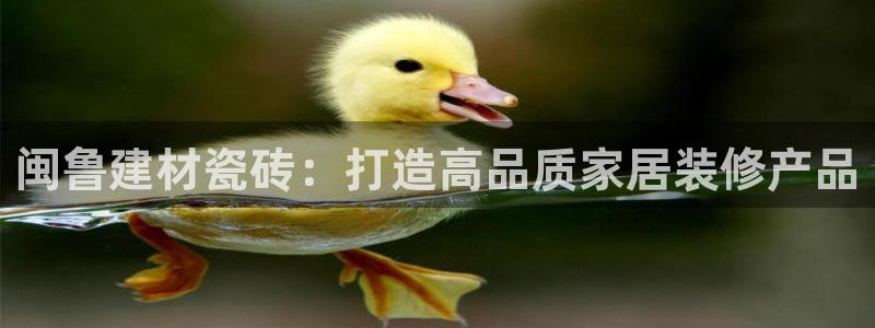 杏鑫官网注册账号密码忘了