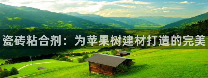 杏鑫平台代理怎么做的