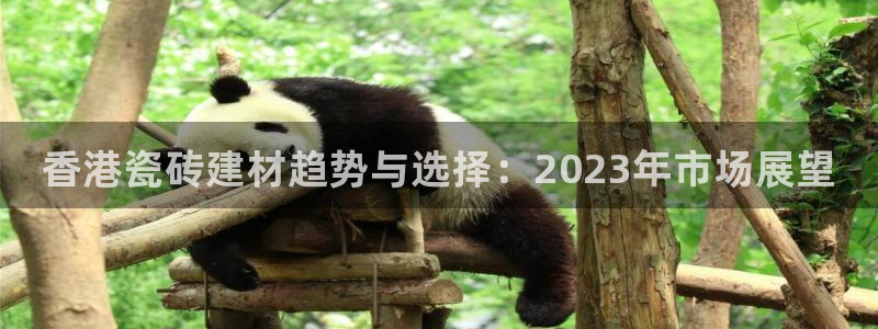 杏鑫平台代理注册多少钱一个