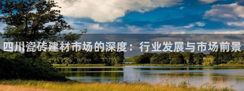 杏鑫平台代理注册多少钱一年