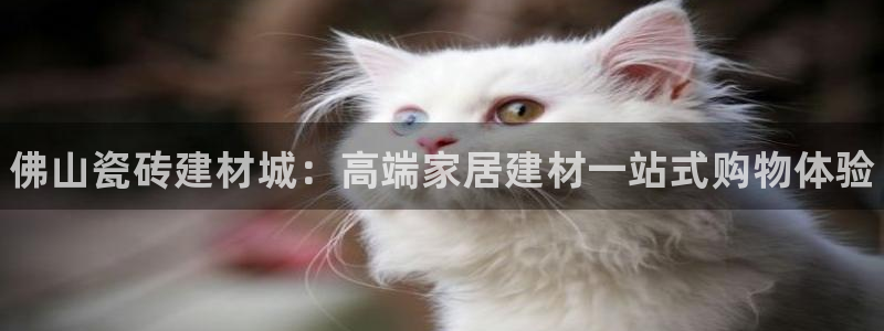 杏鑫娱乐是真的吗