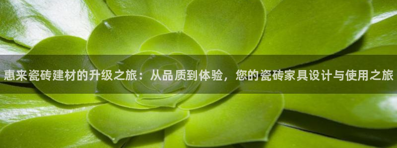 杏鑫平台招商电话