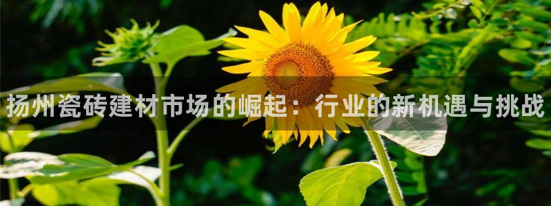 杏鑫平台怎么样黑钱吗安全吗可靠吗