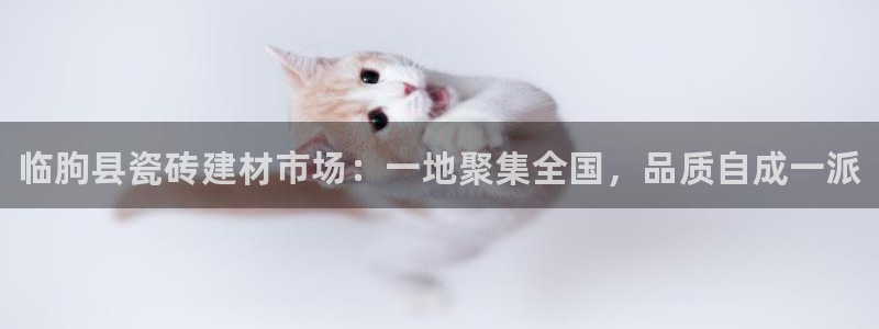 杏鑫平台招商电话是多少