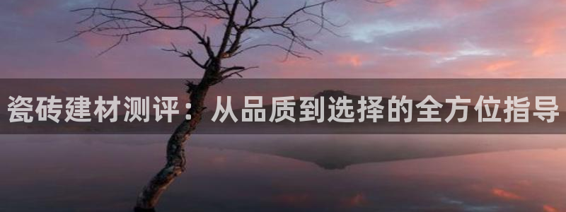 杏鑫官网注册账号是什么意思