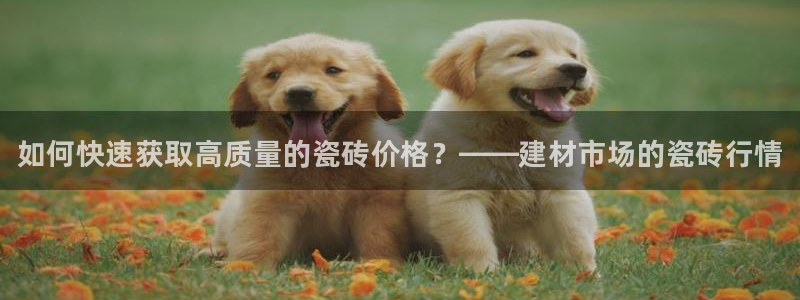 杏鑫注册登录平台