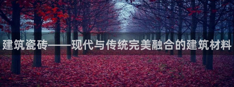 杏鑫娱乐官方网站客户端登录