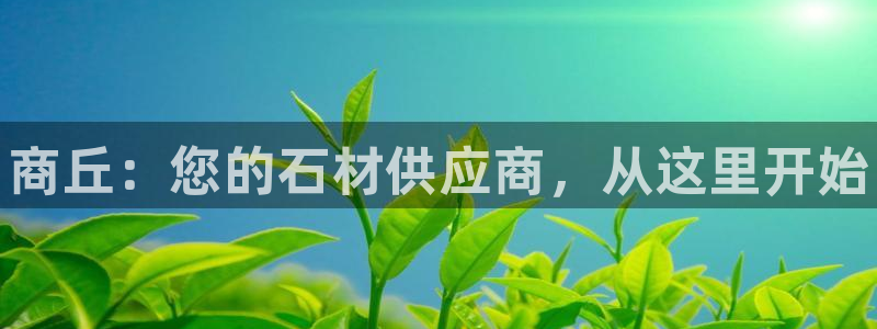 杏鑫平台代理注册流程图