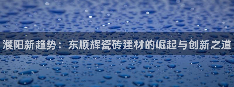 杏鑫平台在线注册