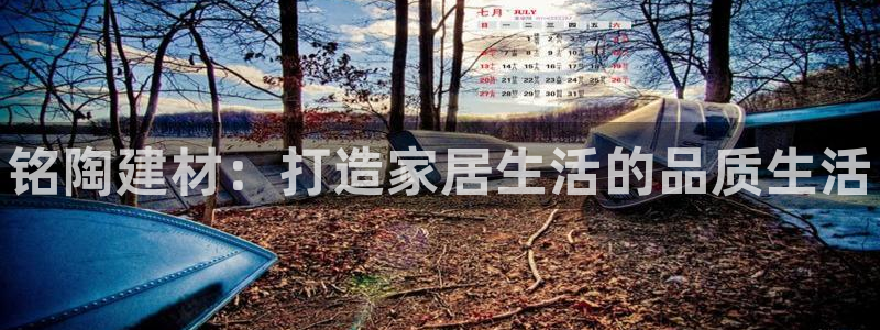 杏鑫平台代理注册多少钱一年