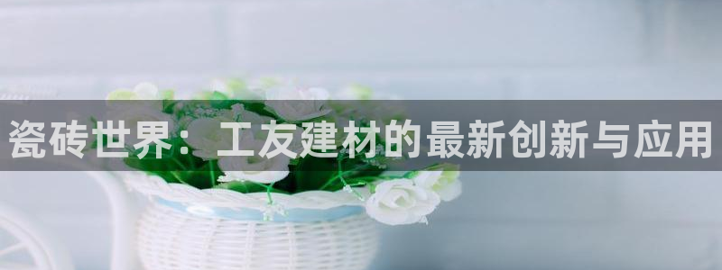 杏鑫平台招商电话号码是多少