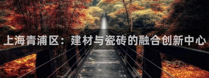 杏鑫娱乐怎么下