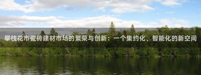 杏鑫平台代理注册流程图